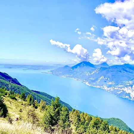 Daire Stecla's House