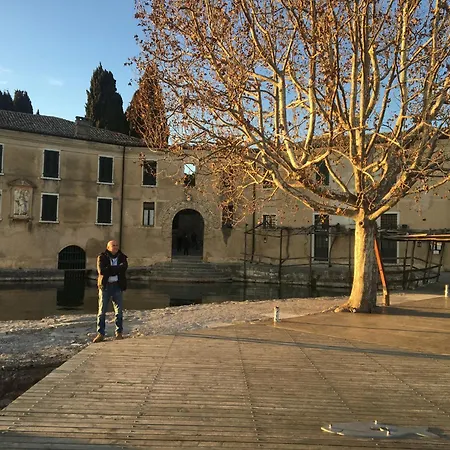 Daire Stecla's House *