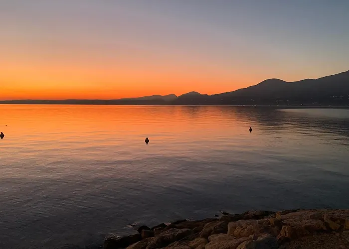 Stecla's House Garda